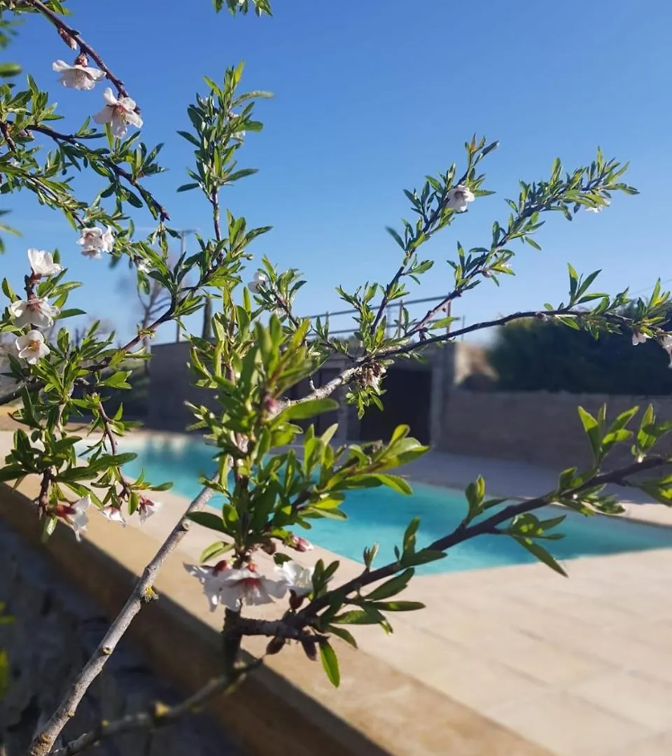 Country house La Codina Guest House Catalonia
